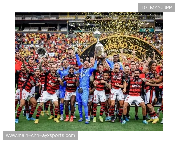 南美解放者杯淘汰赛竞争激烈，多队保持良好状态