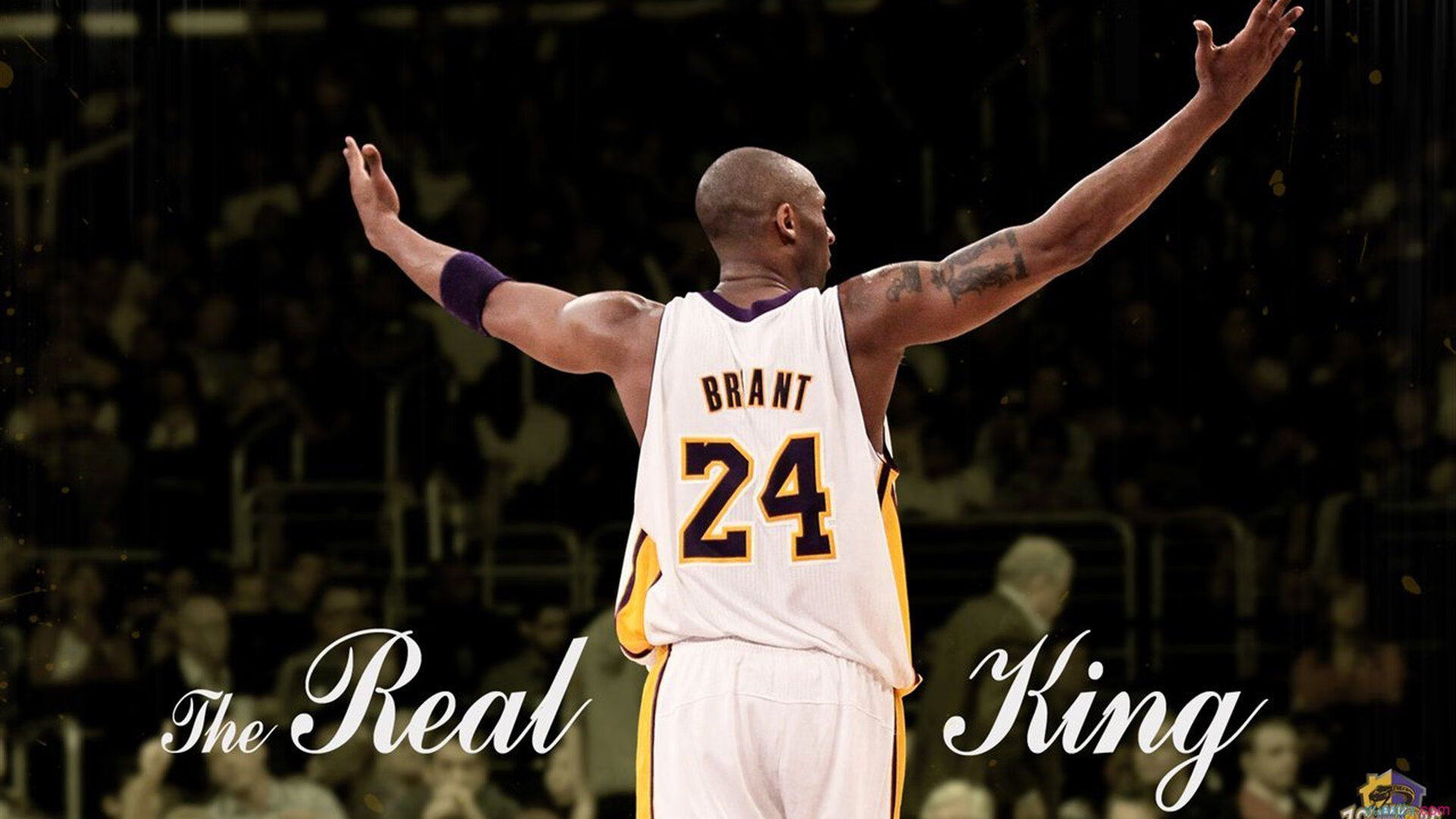 LCK联盟开展职业选手技能培训，lck职业选手大全